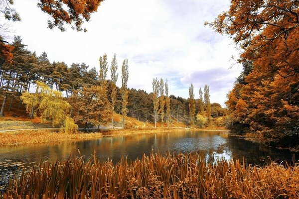 Golden autumn. a very beautiful, spiritual landscape