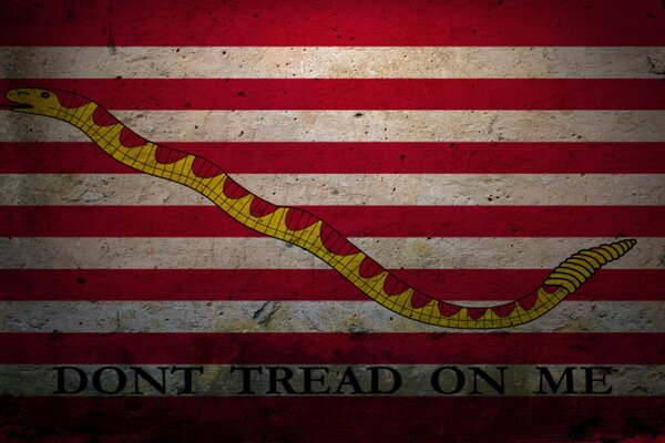 A flag with a snake in the grunge style