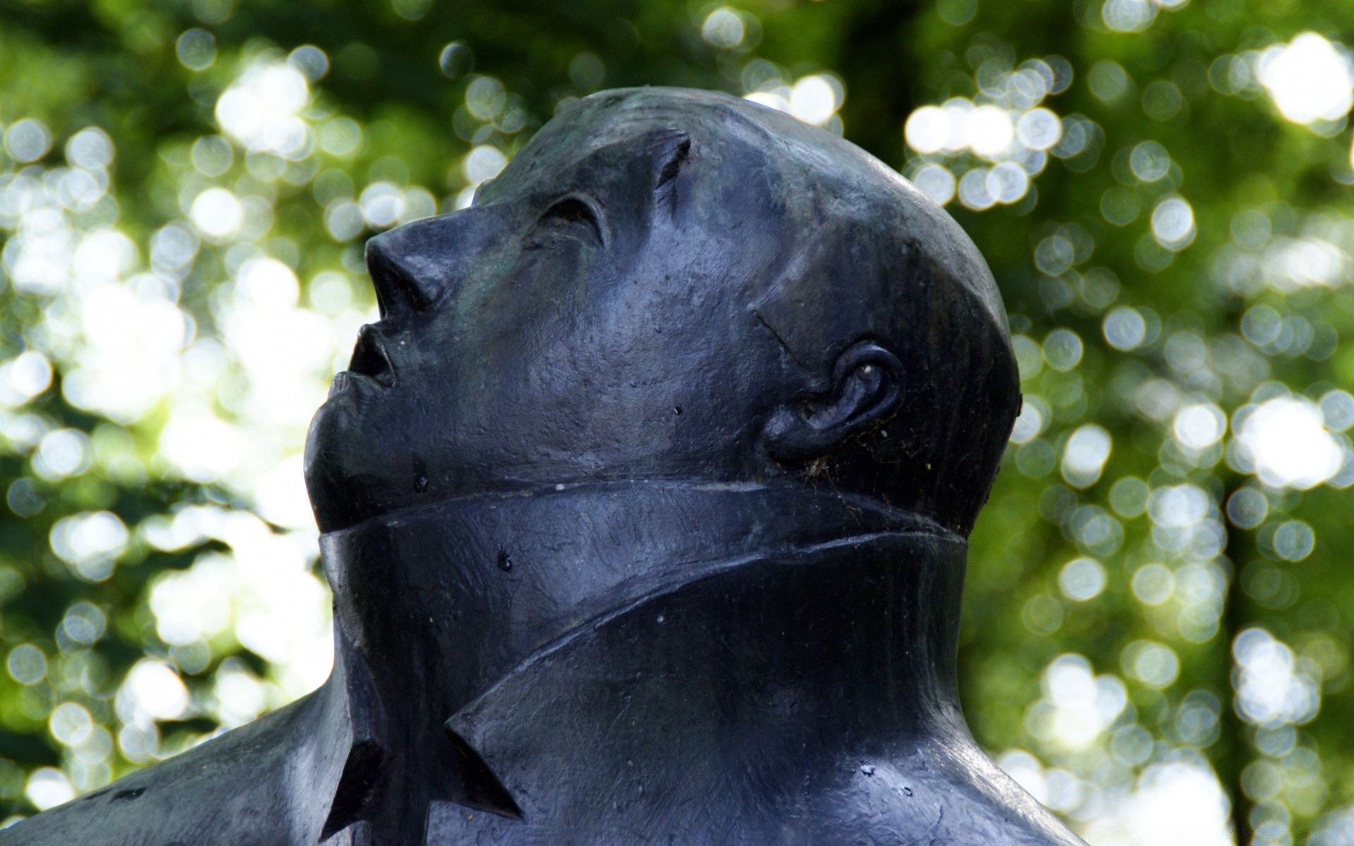 sculpture nature portrait park outdoors one face tree