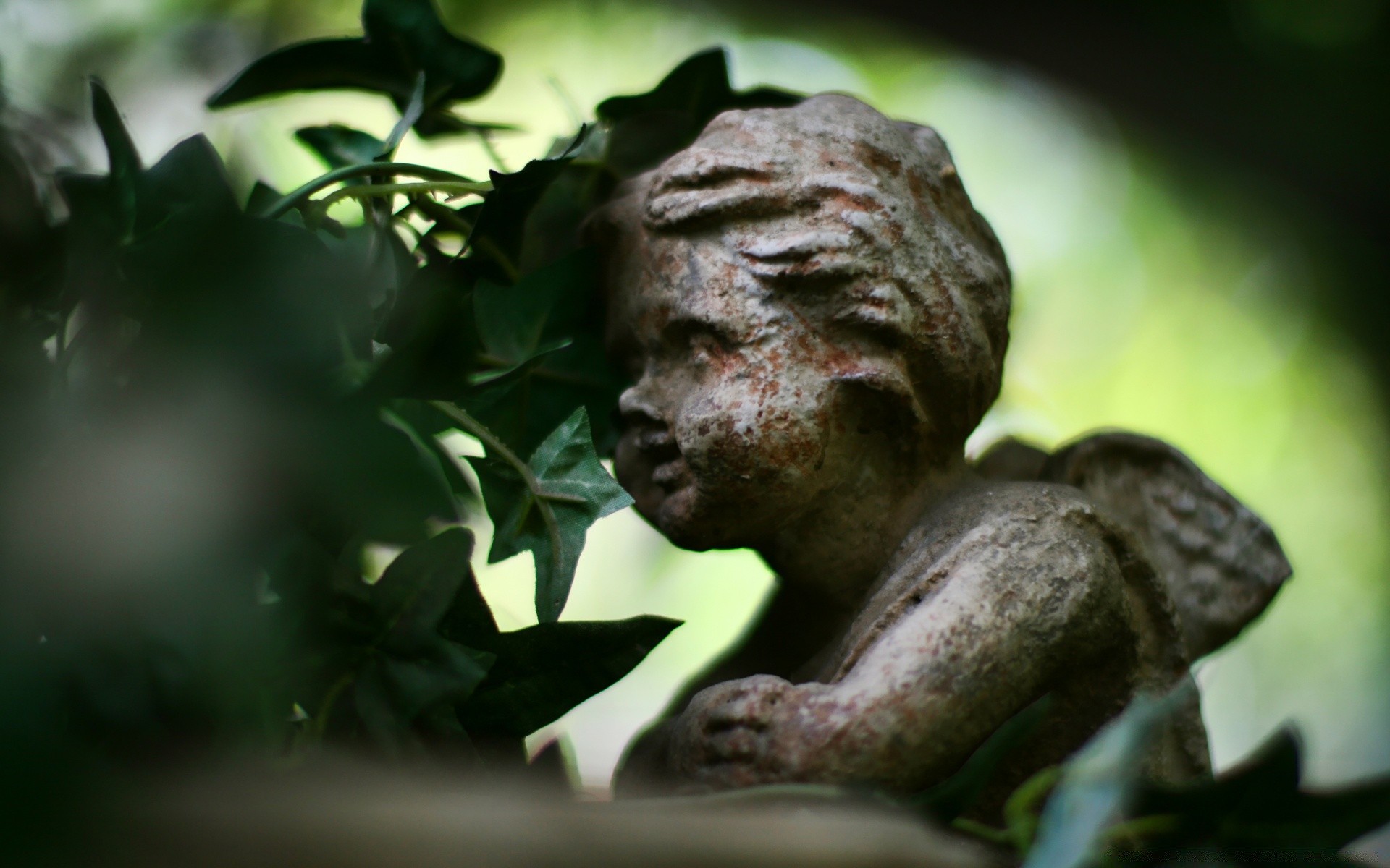 sculture statua foglia albero uno arte giardino natura religione