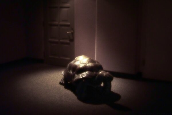 Sculpture of a turtle illuminated by bright light