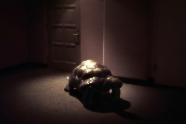Скульптура черепахи освітленої яскравим світлом