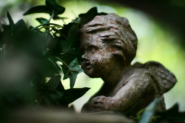 Estatua de ángel junto al follaje