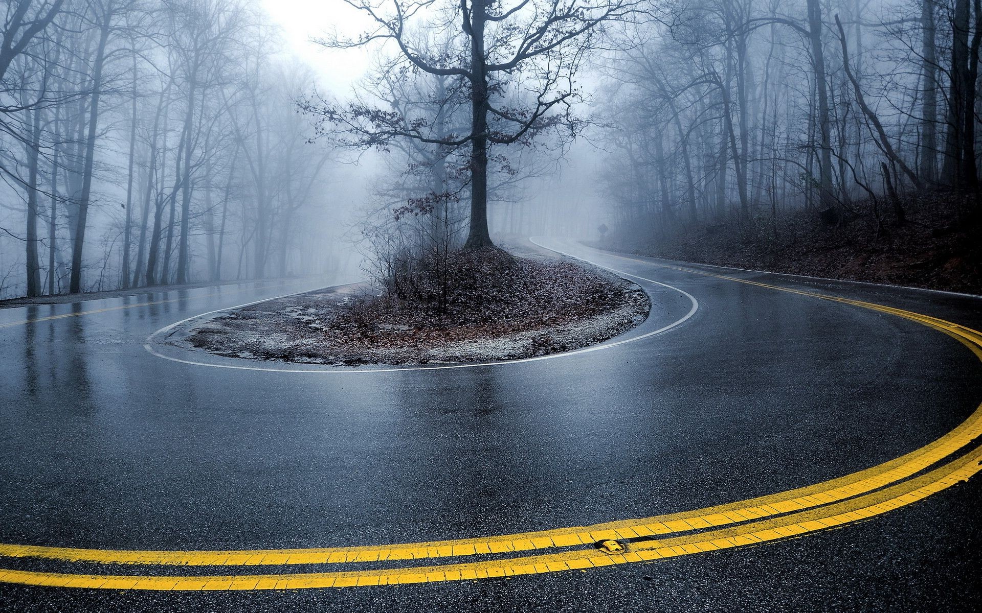 straße schnee winter baum nebel landschaft guide asphalt reisen im freien dämmerung nebel natur holz kälte wetter