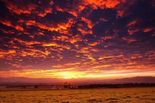 Très beau coucher de soleil sur la plaine