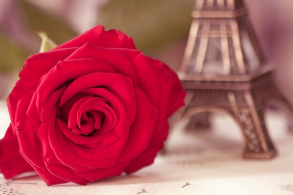 Wedding rose and statuette of Paris