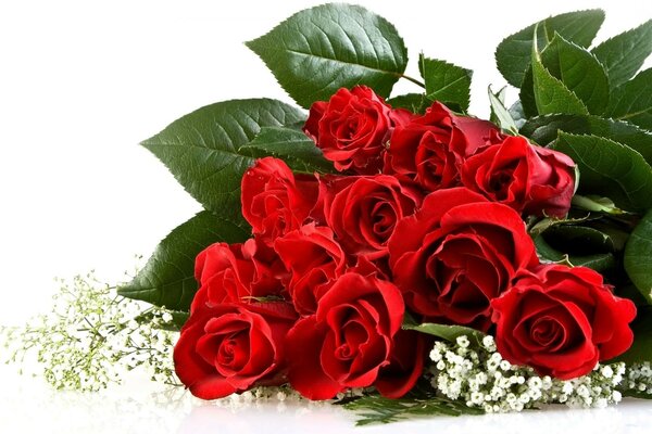 Romantico grande mazzo di rose rosse