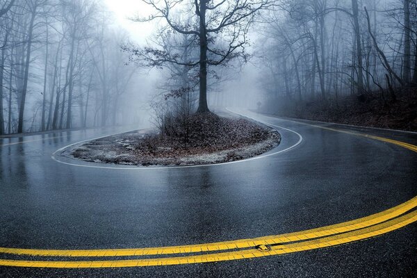 Uma volta perigosa em torno de uma árvore no inverno