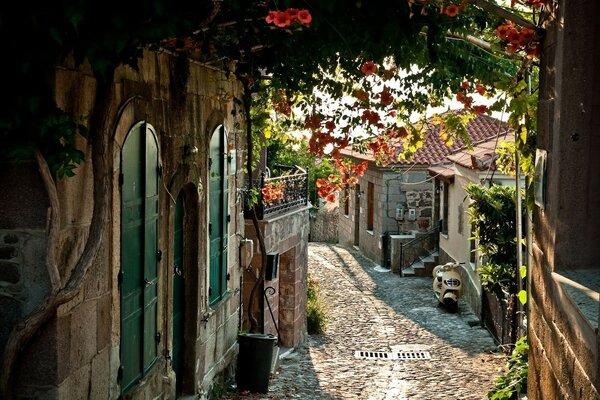 A beleza das cidades arquitetônicas do mundo