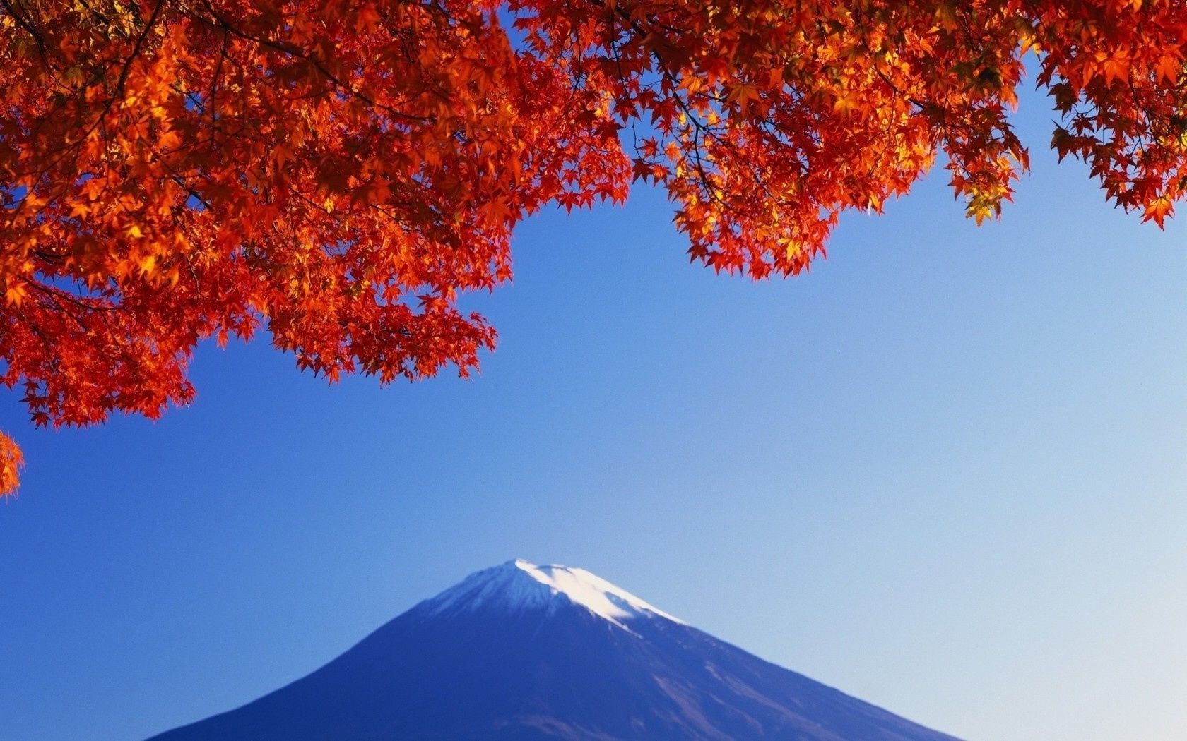 mountains fall leaf outdoors nature snow bright tree winter wood fair weather