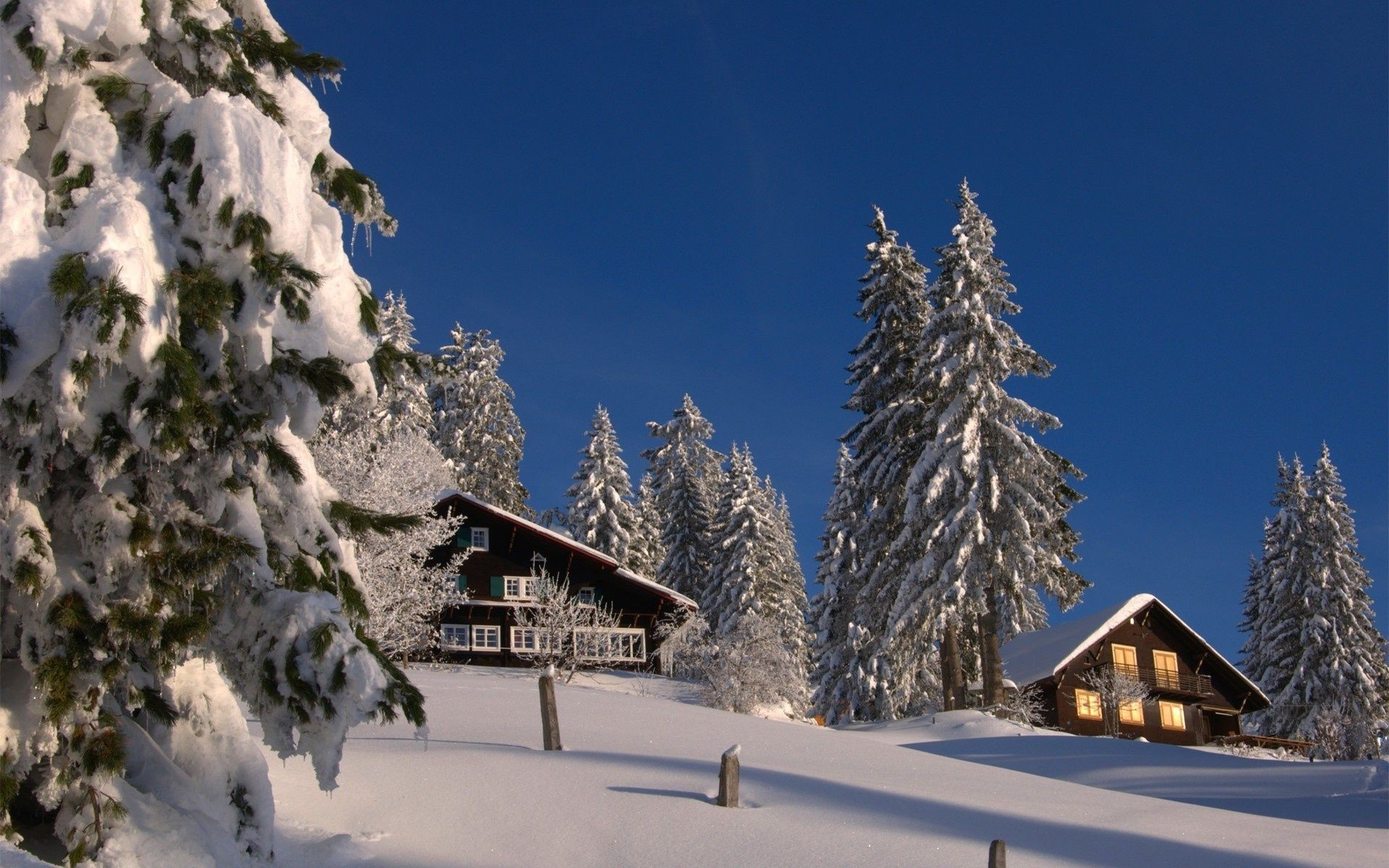 hiver neige froid bois gel bois glace montagnes evergreen congelé à l extérieur station balnéaire pittoresque cabane