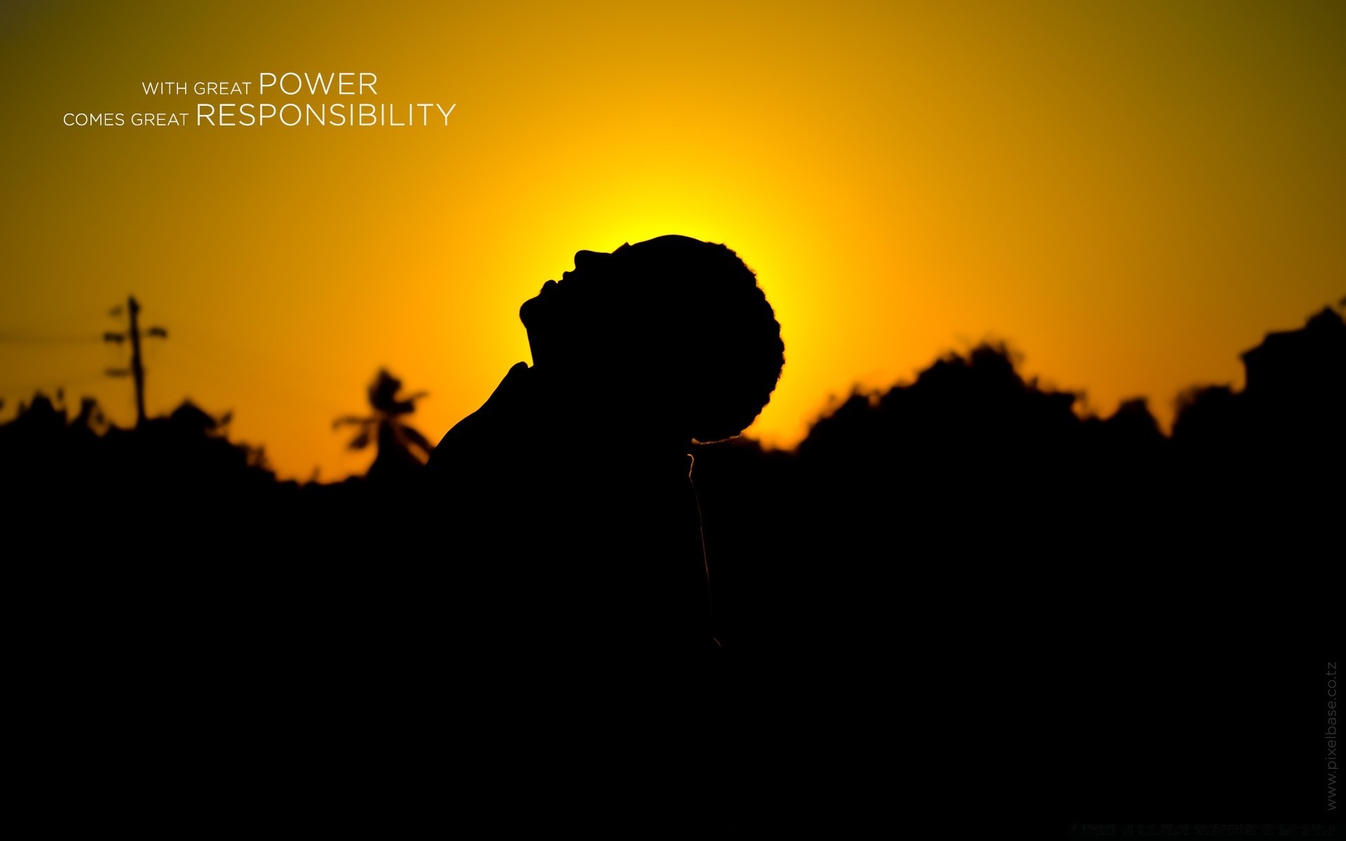 labels sunset silhouette backlit dusk dawn sun sky evening outdoors shadow fair weather nature light