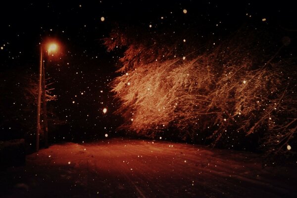 Lanterne solitaire illumine la forêt d hiver