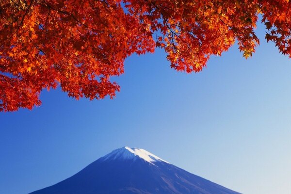 Herbstzeit und Berge