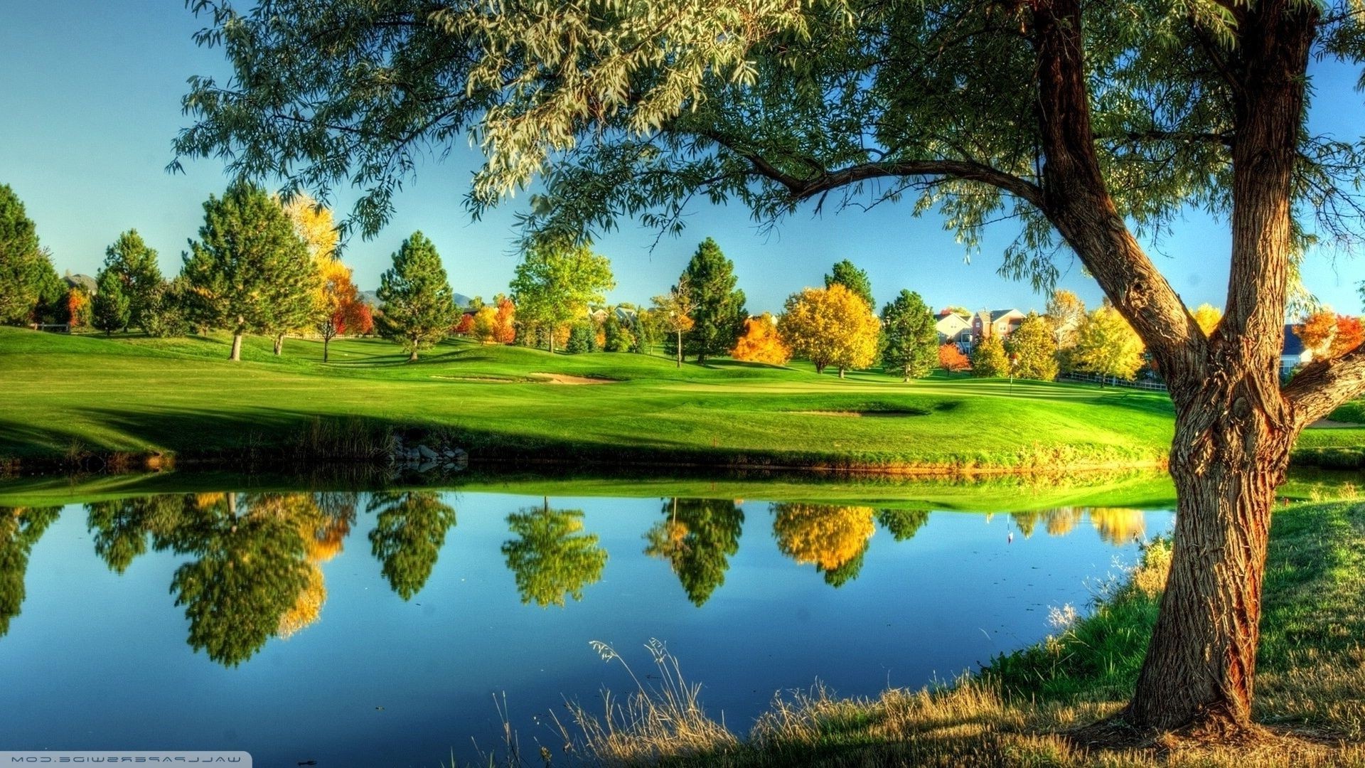 lago árbol paisaje naturaleza hierba reflexión piscina escénico parque cielo al aire libre madera agua verano espectáculo río temporada paisaje brillante