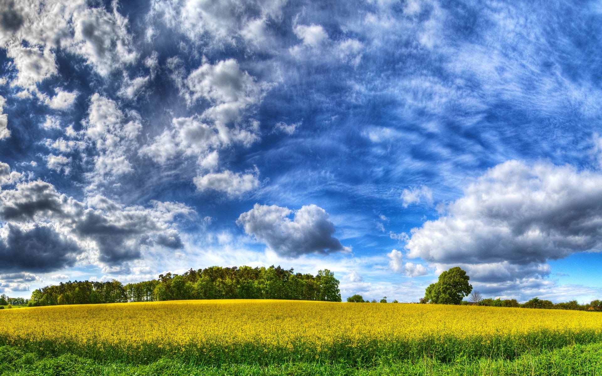 himmel des ländlichen feld natur landschaft himmel landschaft horizont sommer landwirtschaft gutes wetter gras bauernhof wolke weide boden panorama heuhaufen im freien sonne