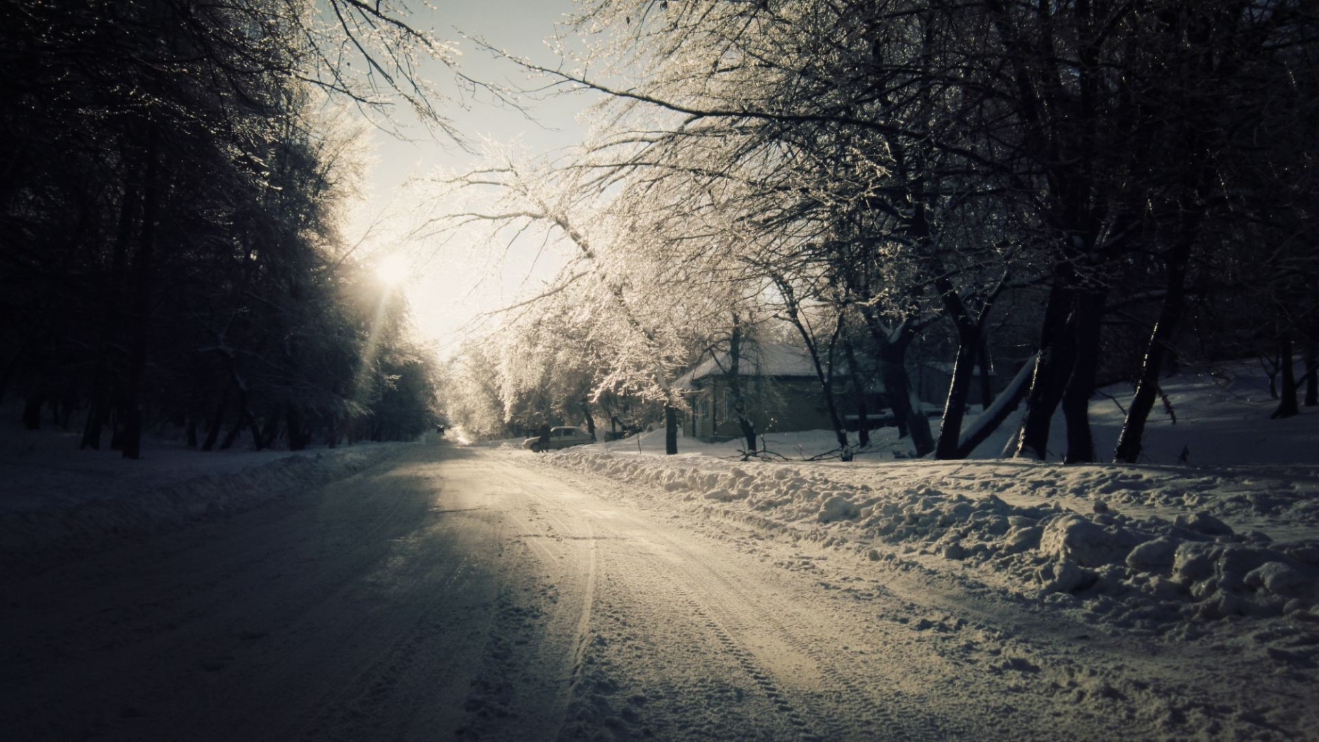 hiver neige paysage froid bois brouillard gel météo congelé glace bois route brouillard aube parc nature branche saison beau temps