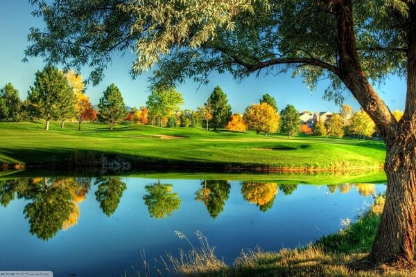 Autumn forest in the reflection of water