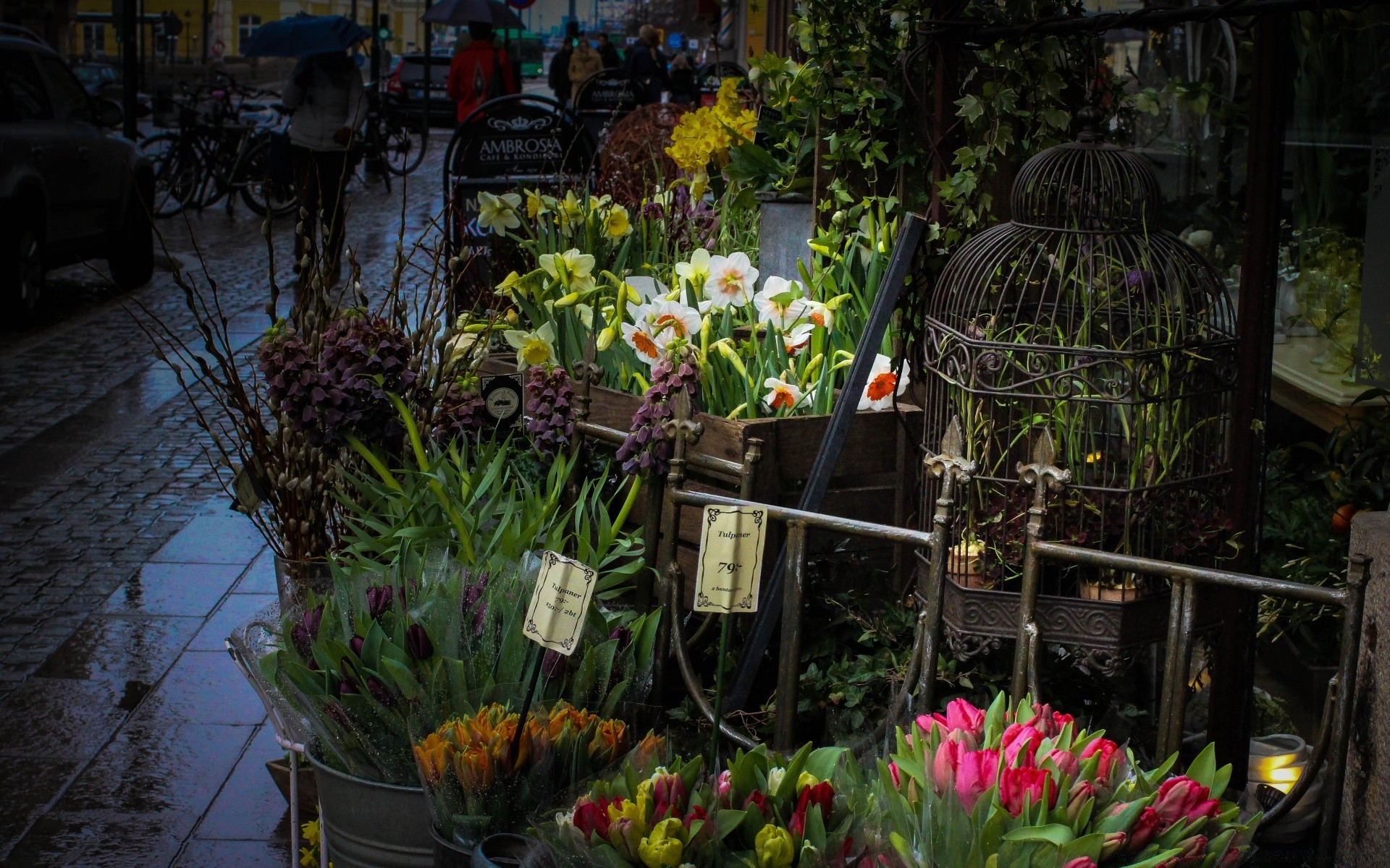 urban style blume garten natur gemüsezucht flora gartenarbeit sommer farbe blühen blatt im freien