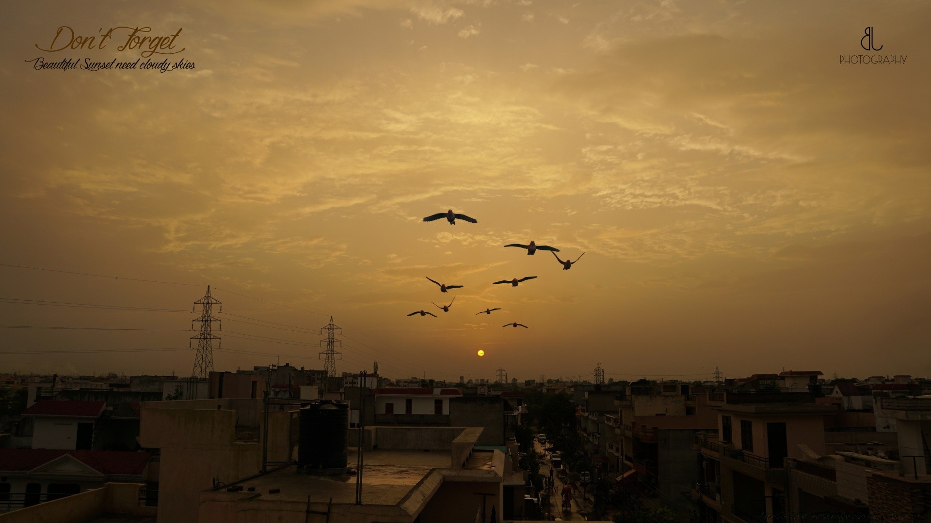 estilo urbano pôr do sol amanhecer céu pássaro água crepúsculo sol noite viajar ao ar livre gaivotas avião voo avião