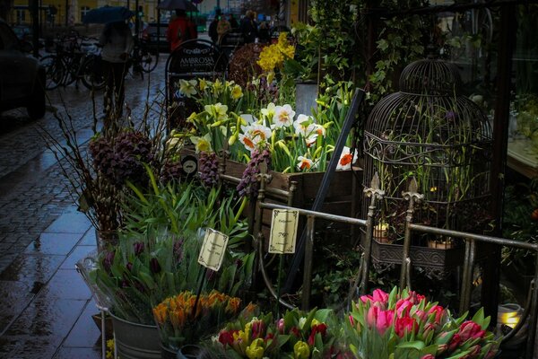 Fleuriste dans la ville sombre