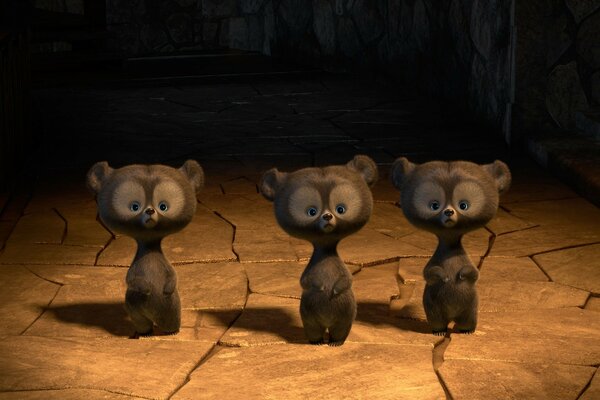 Three black bears stare in amazement