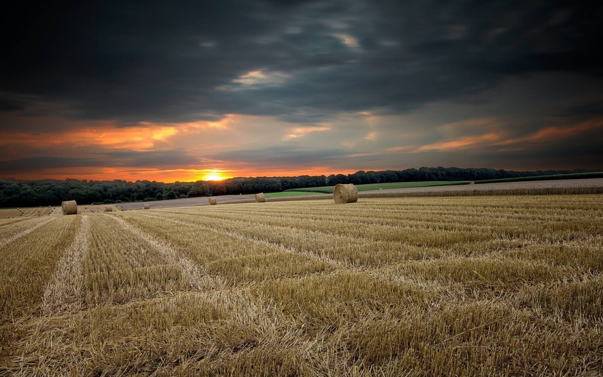 the sunset and sunrise wheat cereal field rural agriculture pasture corn farm landscape crop straw countryside rye farmland country sun gold cropland sky