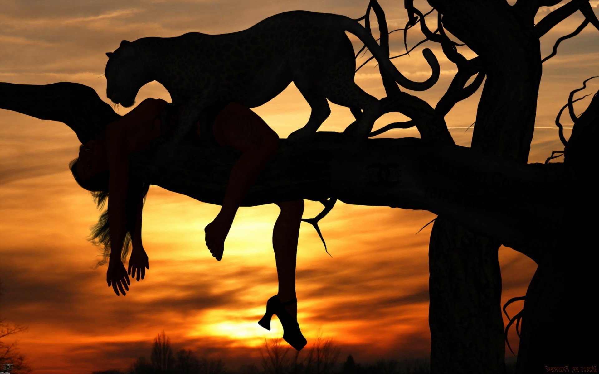 animals silhouette sunset backlit evening dawn shadow dusk sun woman nature mammal