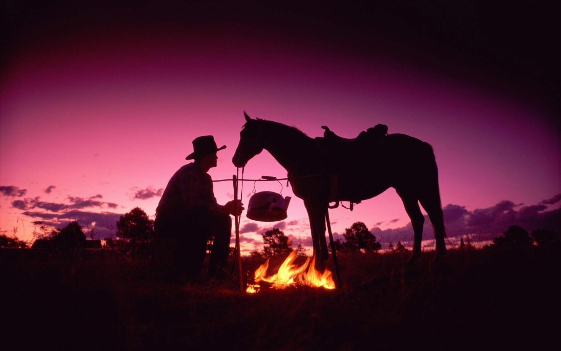 cavalos iluminado pôr do sol silhueta noite mamífero amanhecer sentado adulto sozinho paisagem homem crepúsculo sol céu deserto cavalaria