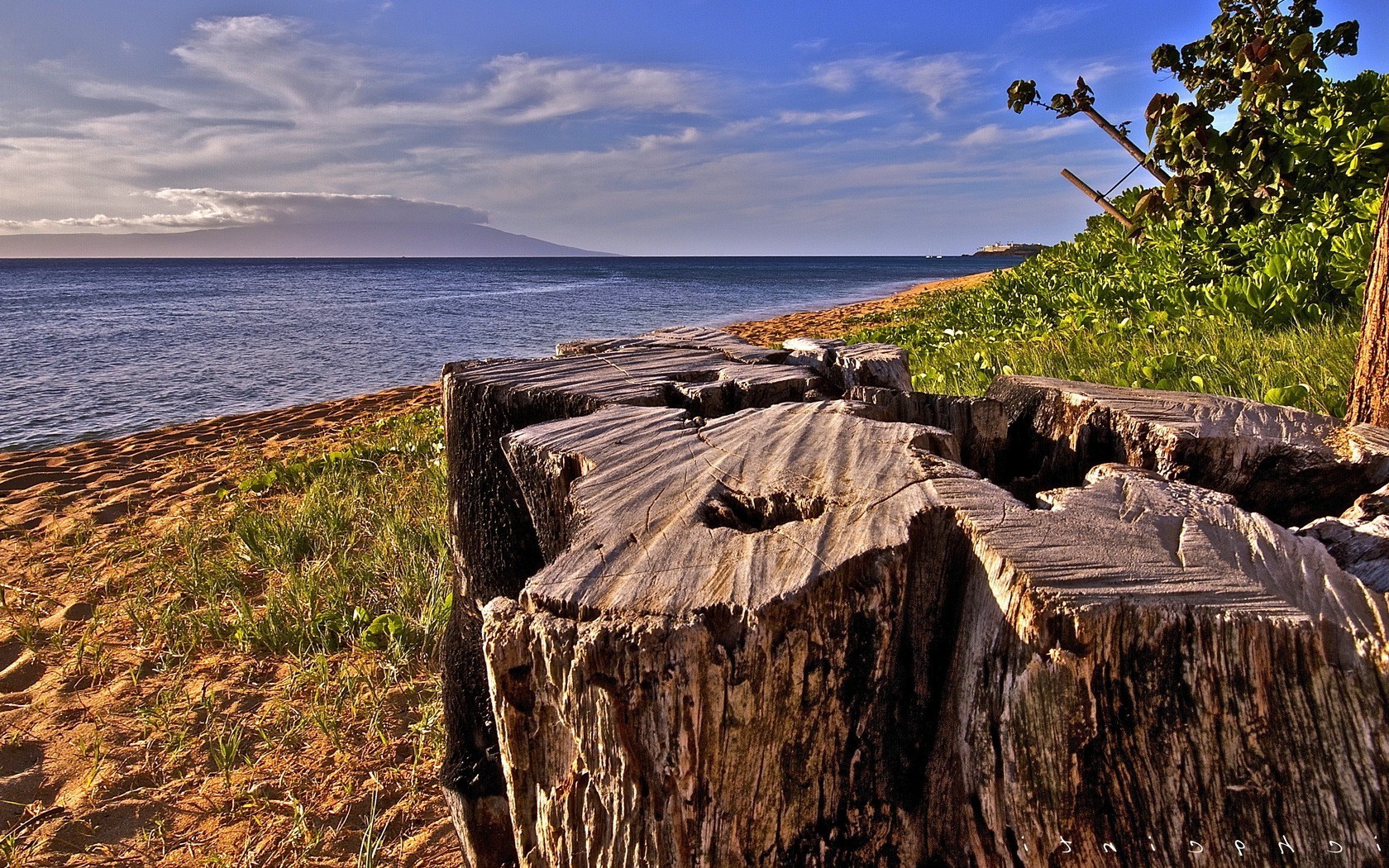 paysage eau dehors nature ciel voyage mer bois paysage plage mer été bois océan