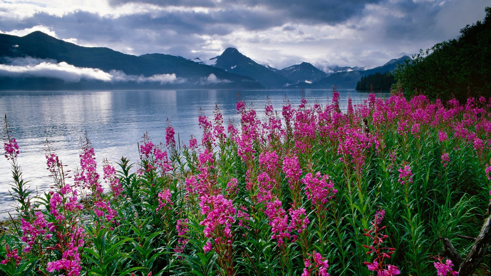 campos prados y valles naturaleza paisaje verano agua amanecer al aire libre cielo lago escénico montañas paisajes sol buen tiempo temporada flor brillante color salvaje espectáculo