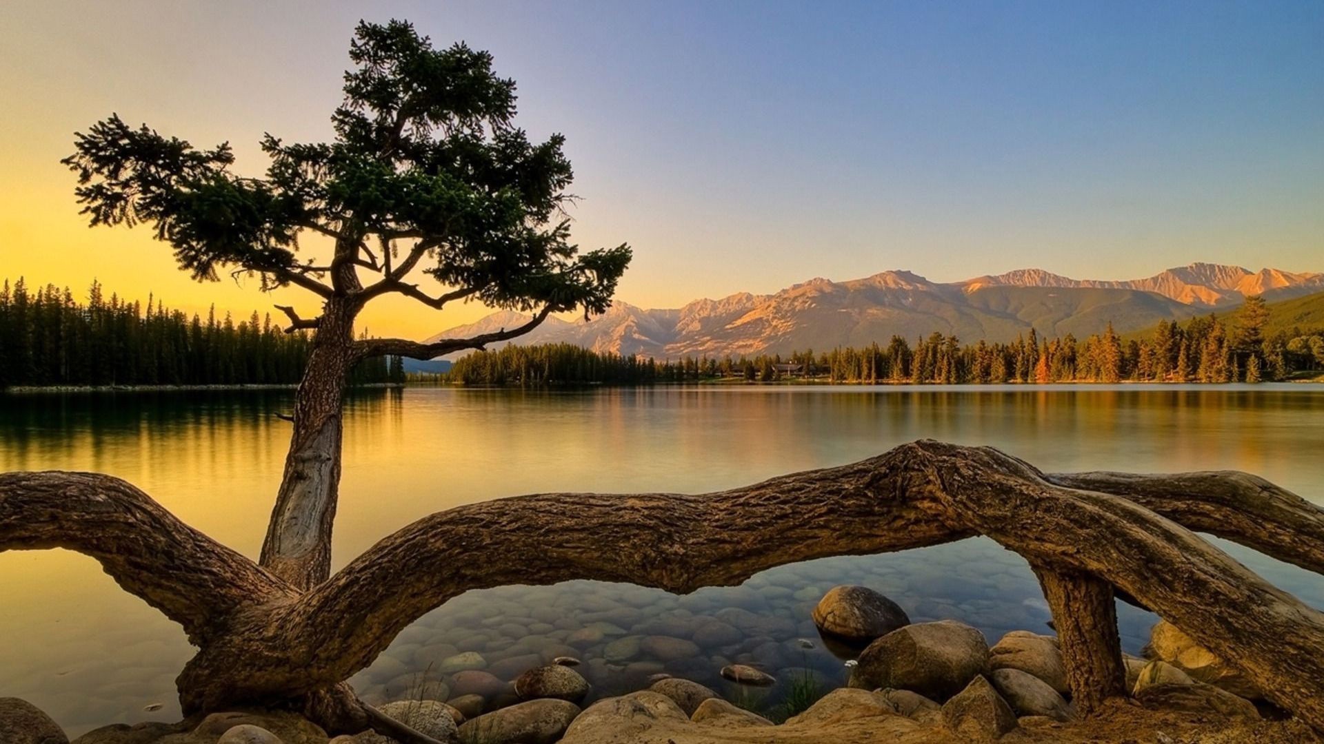 coucher du soleil et l aube réflexion lac eau paysage nature arbre aube rivière ciel bois montagnes à l extérieur coucher de soleil scénique parc piscine automne voyage