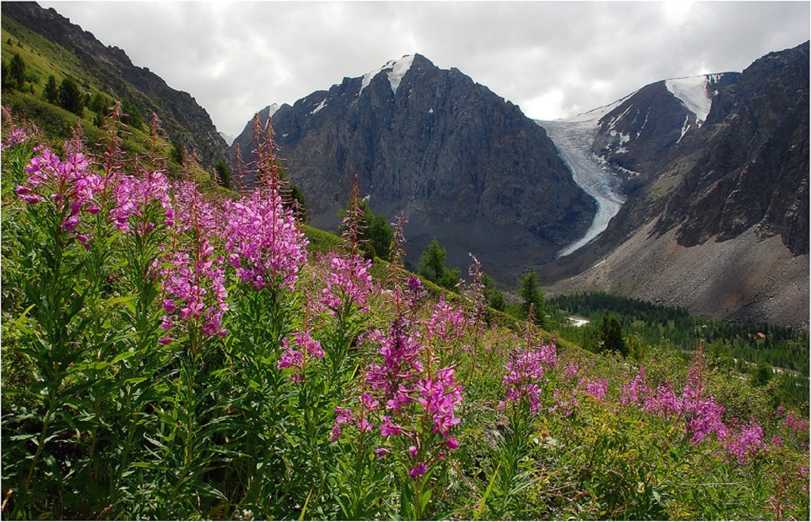 campos prados e vales montanhas paisagem natureza flor ao ar livre feno viajar verão cênica grama céu madeira vale pastagem selvagem colina flora