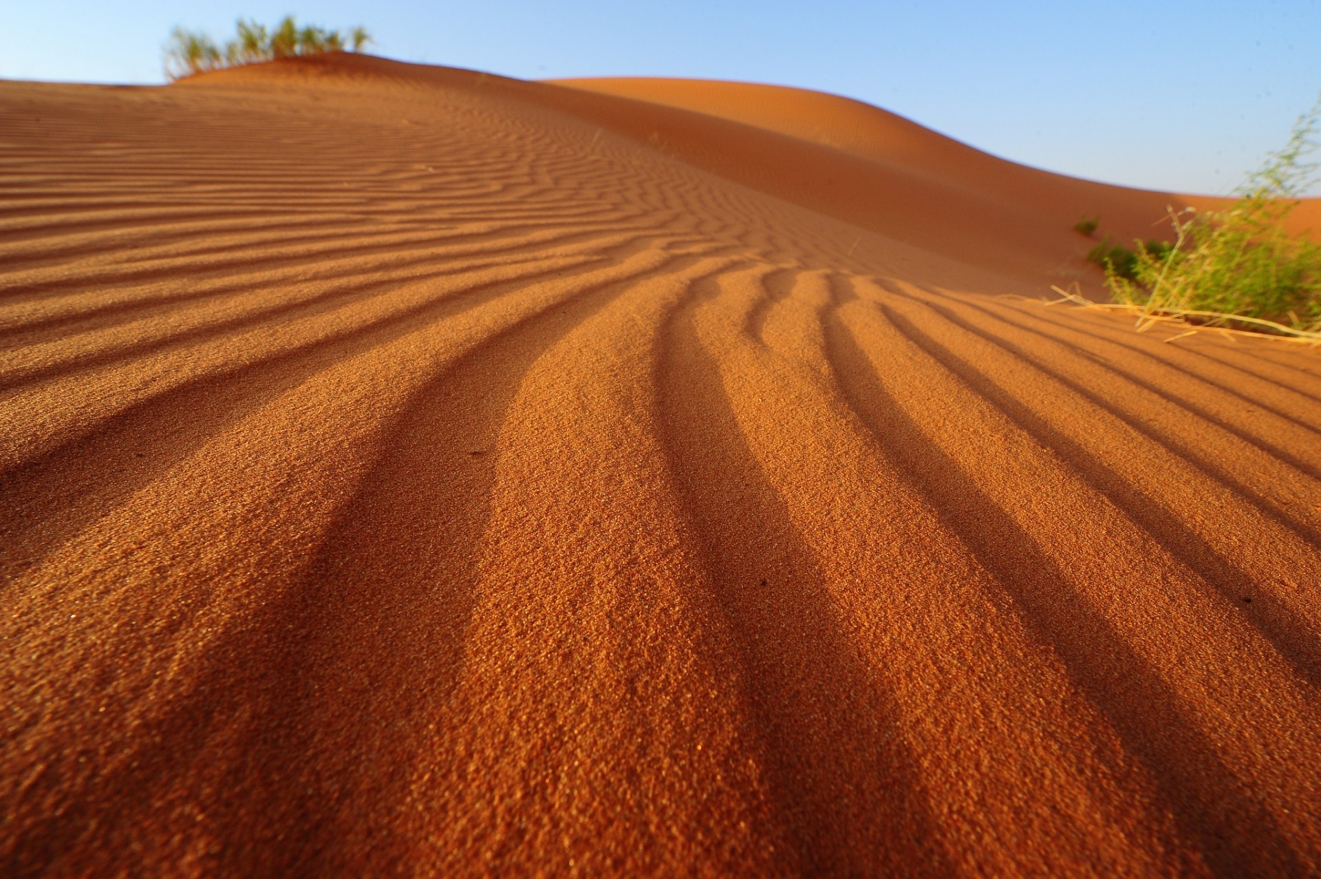 çöl kum kumul arid kuru çorak tepe seyahat açık havada macera günbatımı manzara gökyüzü bir