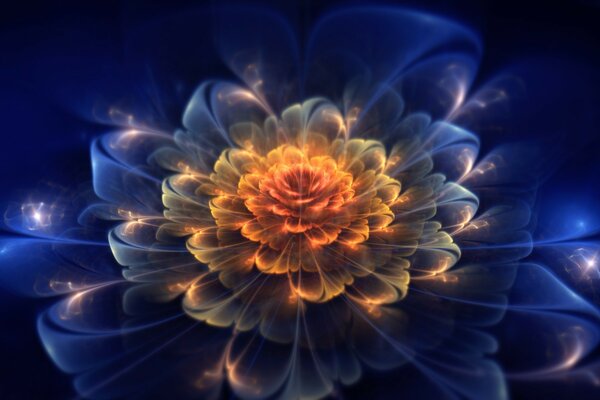 The flower is beautiful, slightly blurred, shining with an unearthly light