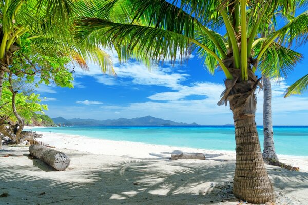 Tropical beach on a sandy white shore against the background of the sea and mountains