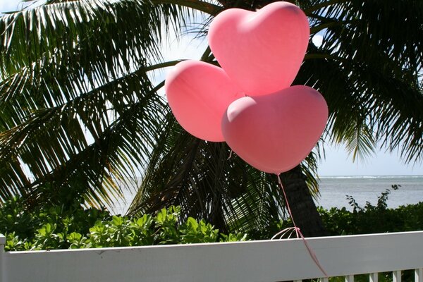 Palm branches romantic view with balloons