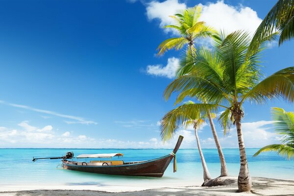 Un bateau amarré près de palmiers sur une île tropicale