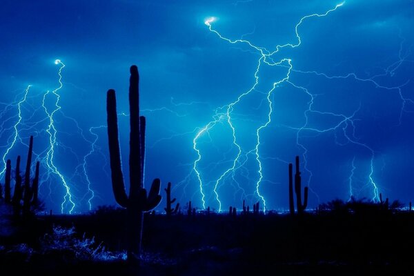 Fulmine di notte. Pioggia e tempesta