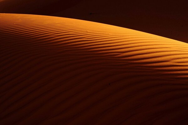 Desert texture in the shadow of sunset