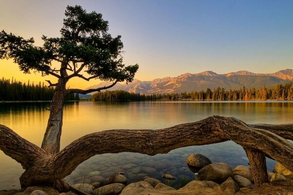 Reflexion des Sonnenuntergangs auf der Wasseroberfläche