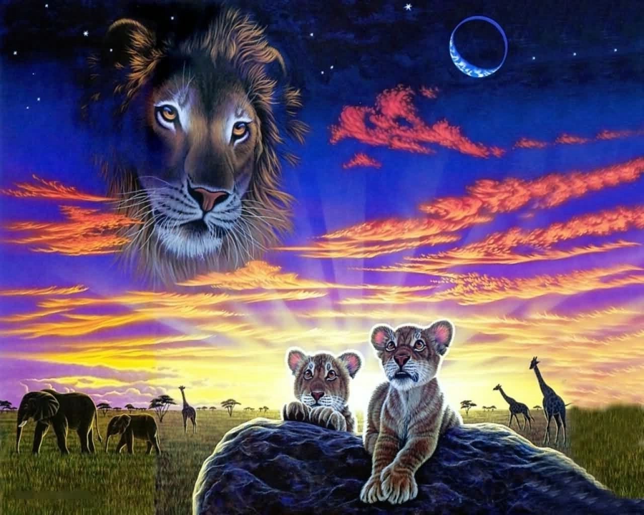 animais ilustração natureza mamífero pintura lua arte