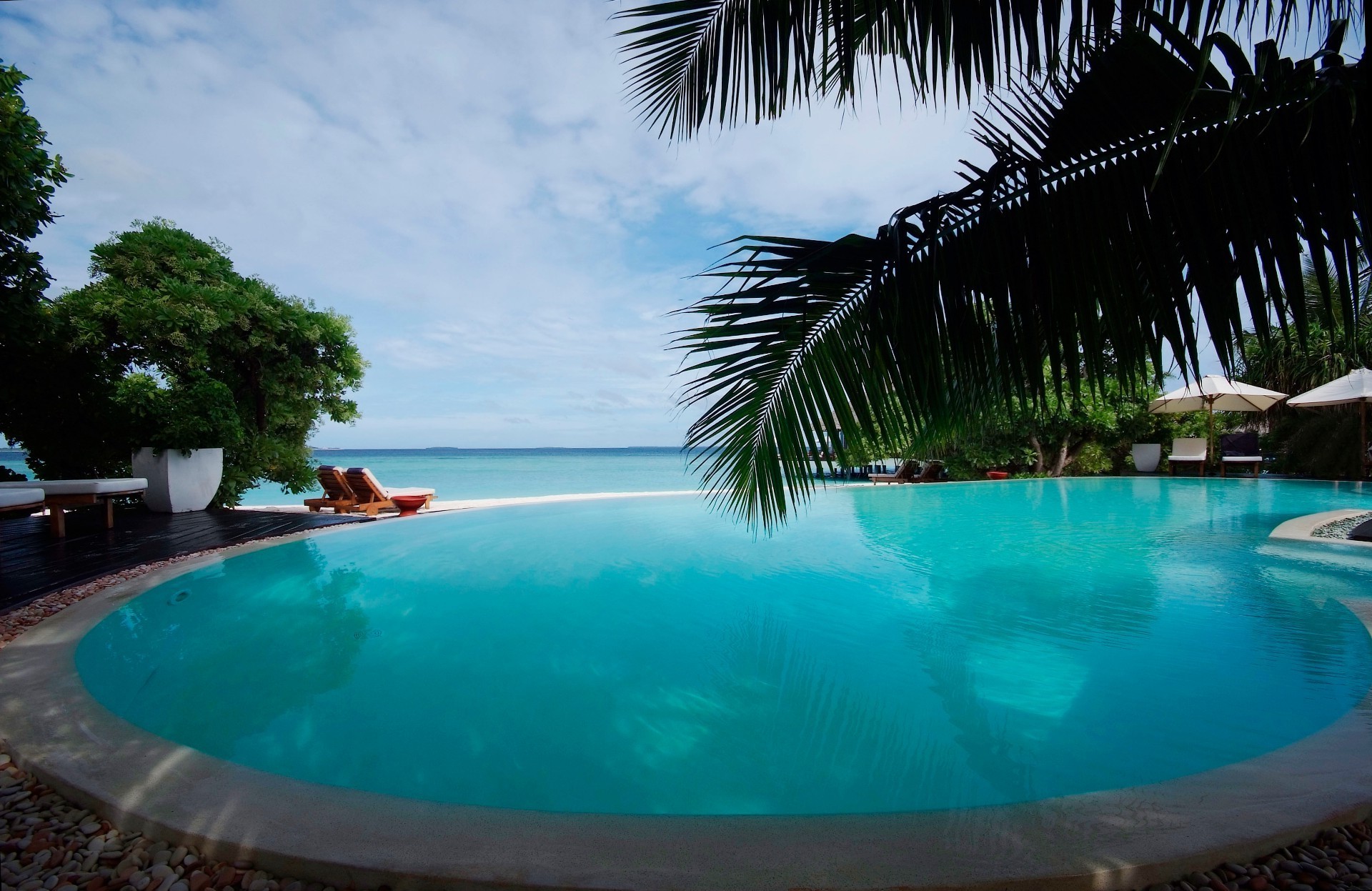 piscines natation eau piscine piscine resort tropical voyage hôtel plage été vacances détente loisirs turquoise exotique palm île luxe loisirs