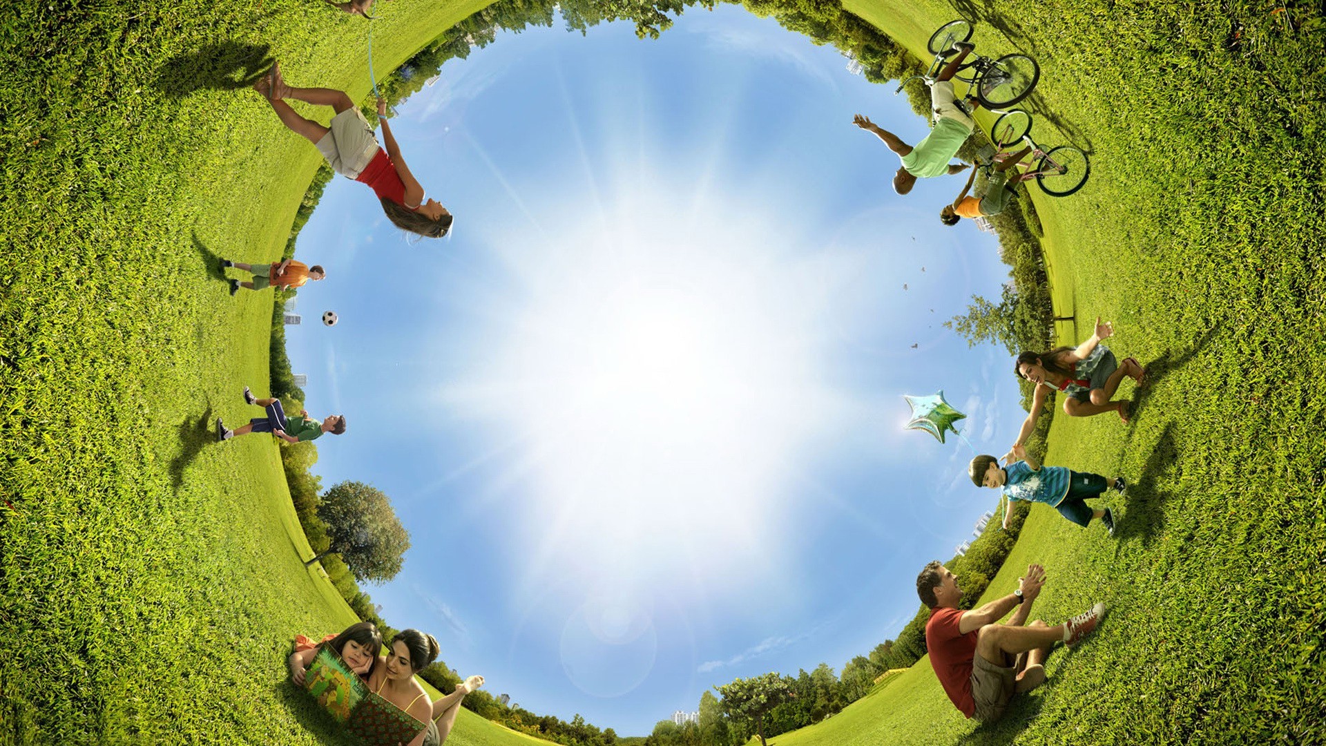 verano árbol naturaleza insecto al aire libre en forma de bola crecimiento