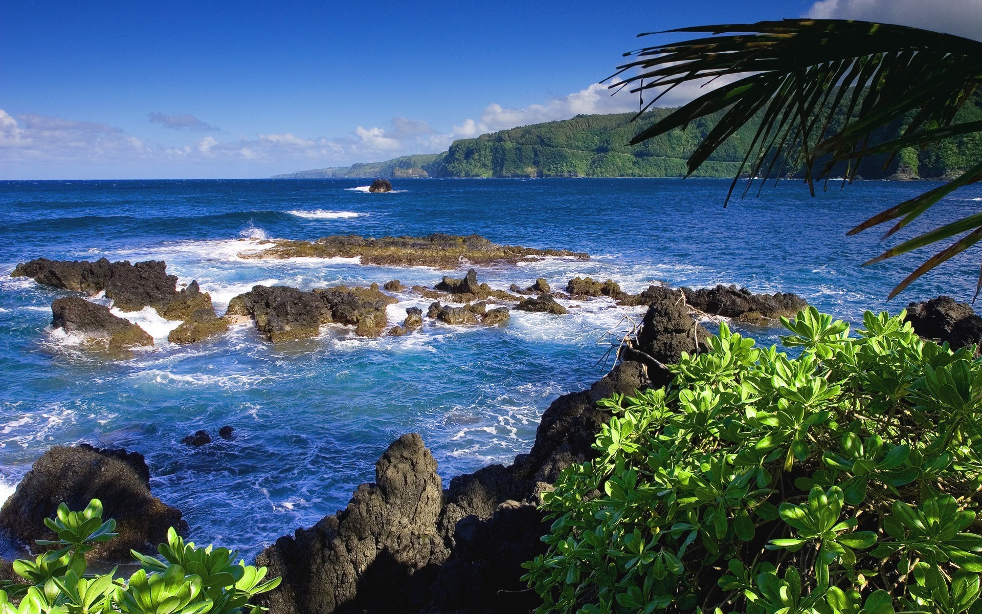 meer und ozean wasser meer strand reisen ozean insel meer sommer tropisch landschaft landschaft bucht natur urlaub landschaftlich himmel