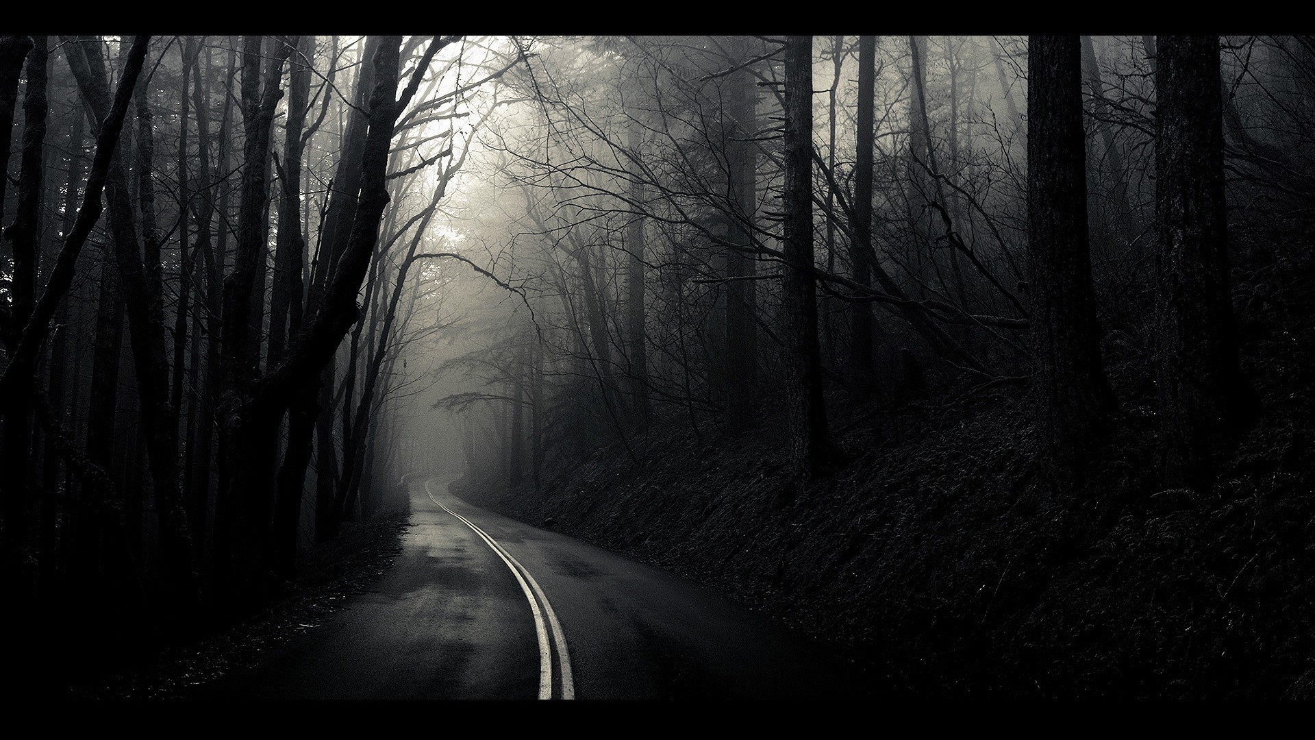 nacht abenddämmerung abenddämmerung nebel monochrom landschaft dunkel licht schatten holz nebel holz dämmerung schwarz / weiß winter straße schnee guide natur park herbst stimmung geheimnis