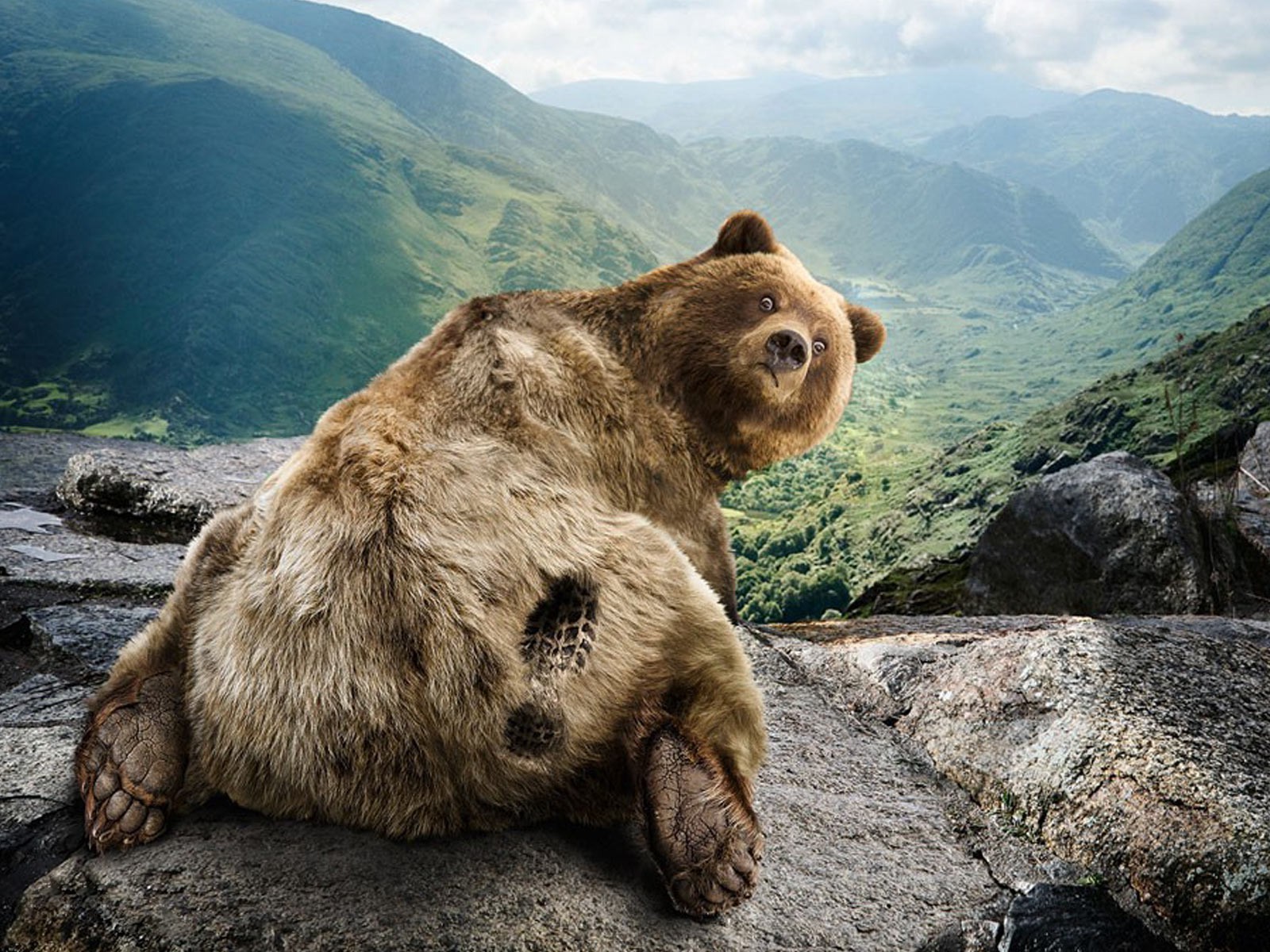 animaux nature montagnes à l extérieur eau voyage rock paysage