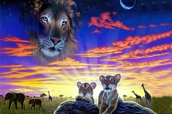 Lions nature sky cubs