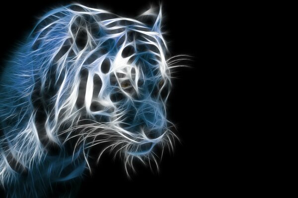 Illustration d un tigre sur fond noir