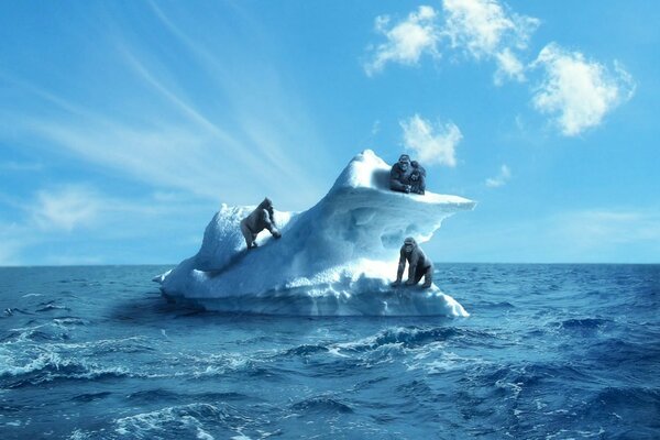 Reise von drei Freunden über den Ozean auf einer Eisscholle